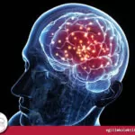 bilime yepyeni bir pencereden bakma hali noröbilim